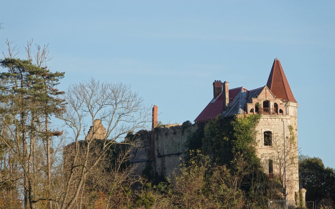 Restauration du Vieux Château