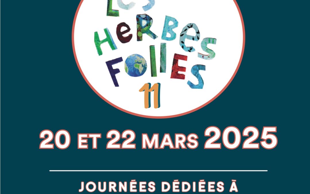 CINEMA  LES HERBES FOLLES 2025