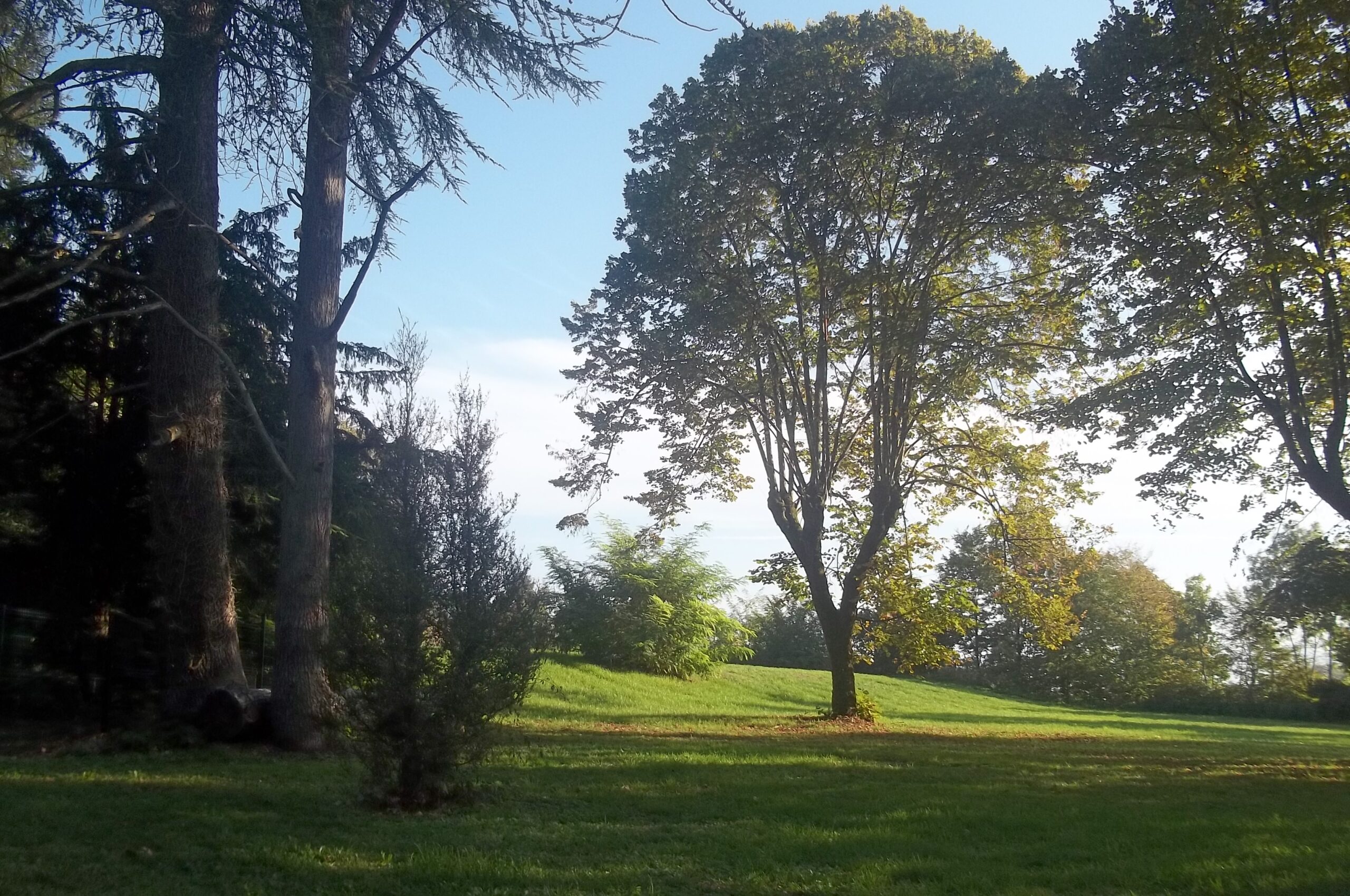 Projet de classement du parc du chateau de meximieux