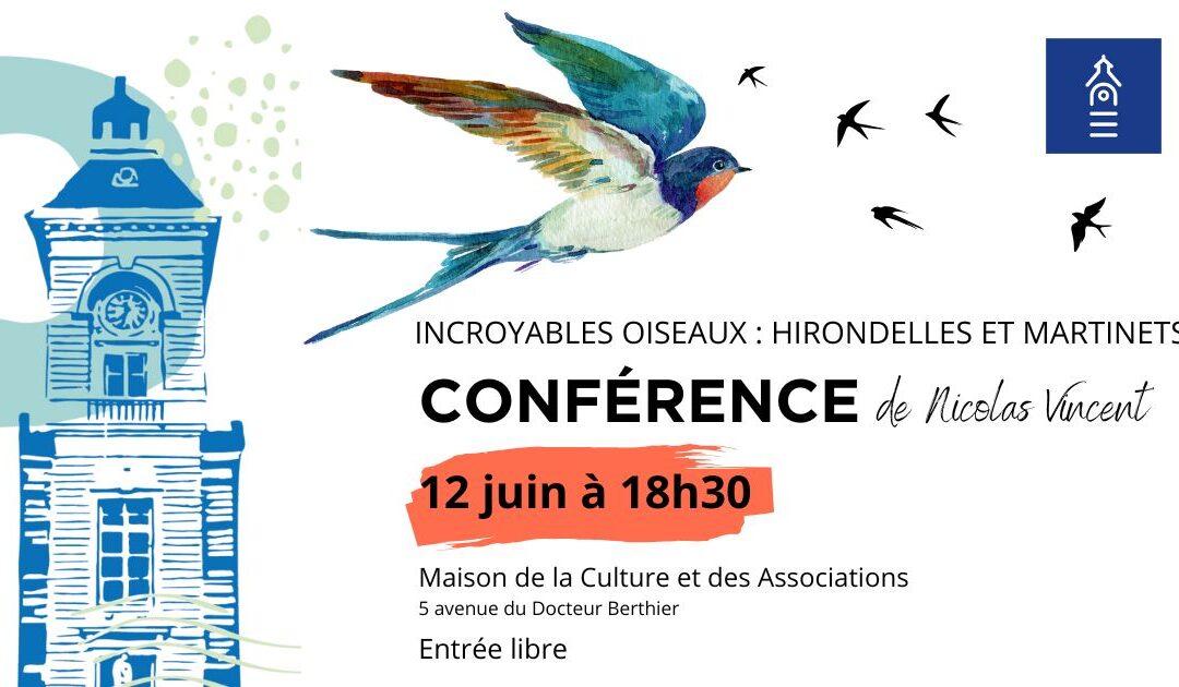 Conférence Hirondelles-Martinets le 12 juin